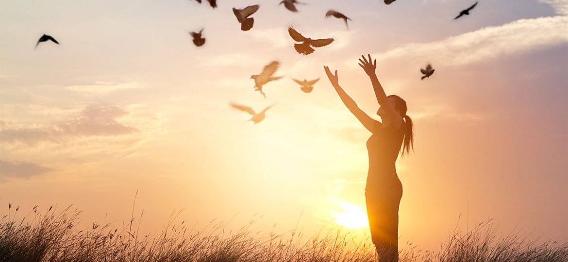 Woman praying and free bird enjoying nature on sunset background